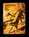 A stamp printed in Australia shows an image of Thylacine Tasmanian tiger on value at 55 cent. Royalty Free Stock Photo